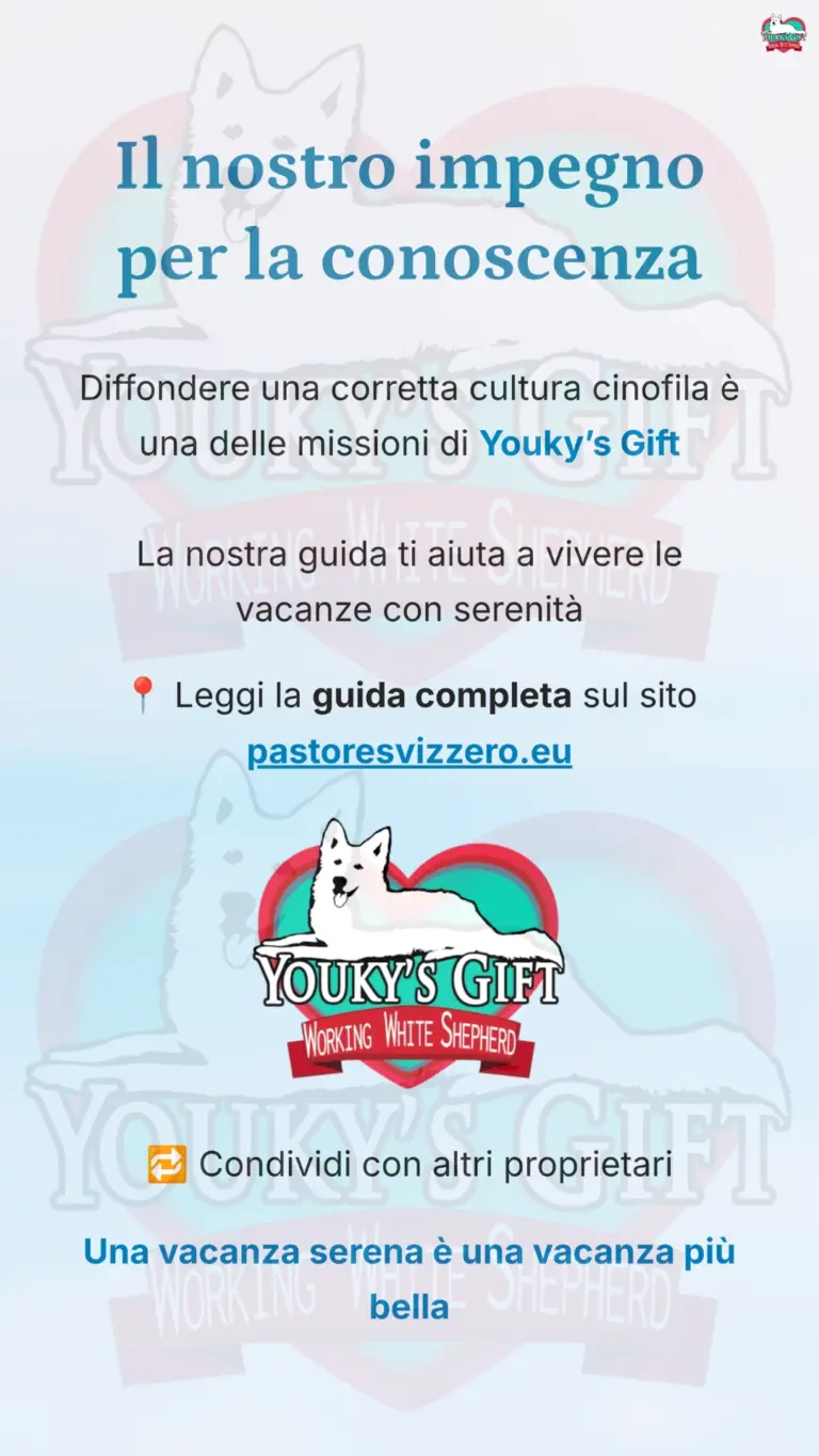 vacanze con il cane 20