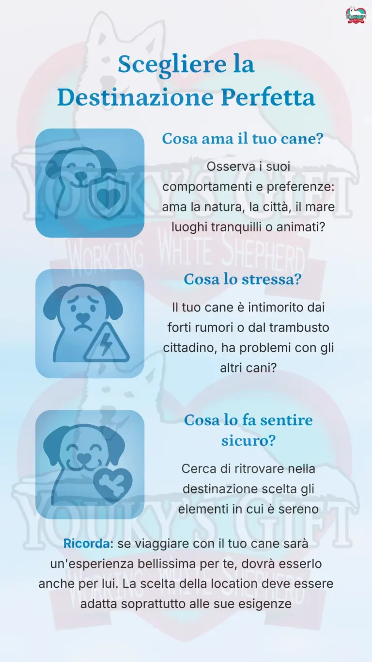 vacanze con il cane 3