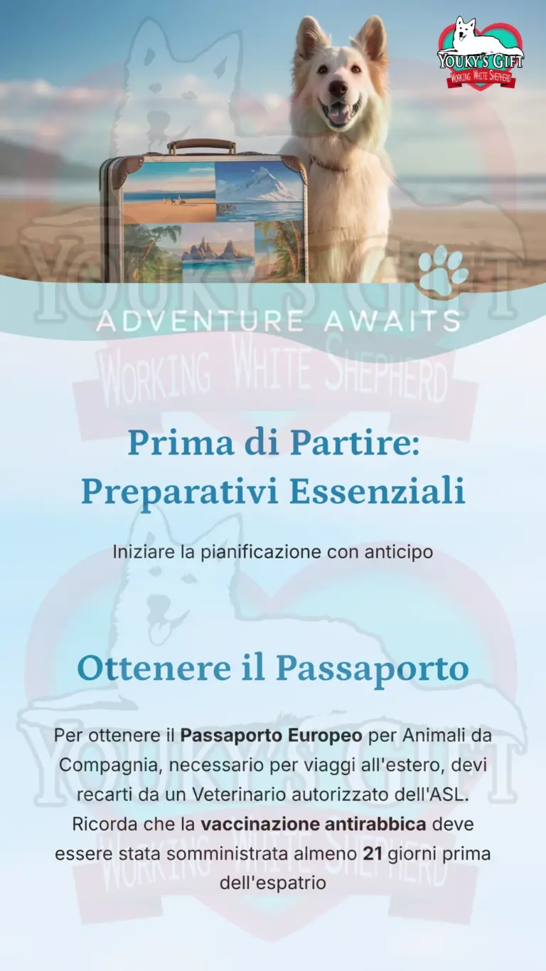 vacanze con il cane 4