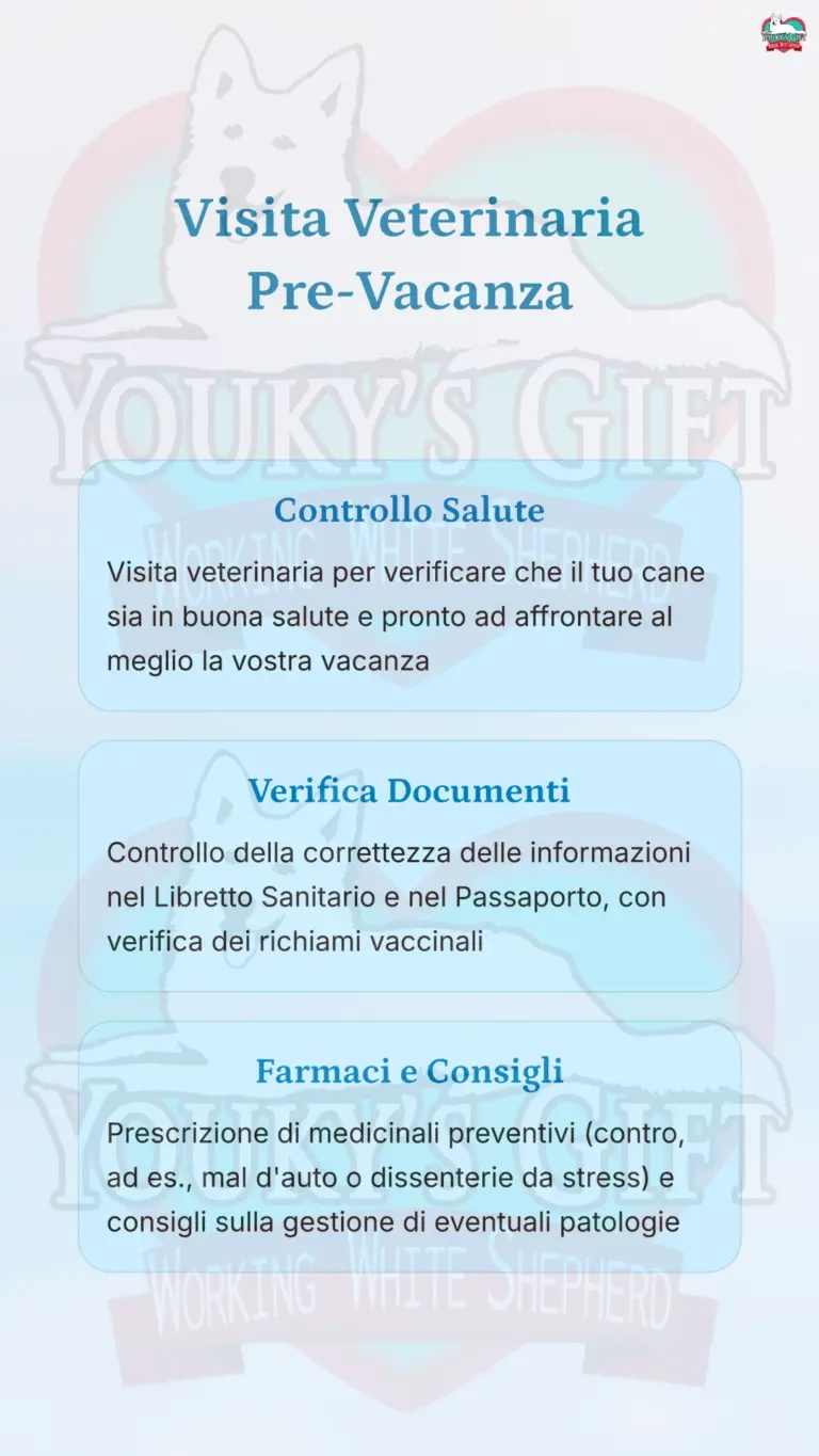 vacanze con il cane 5