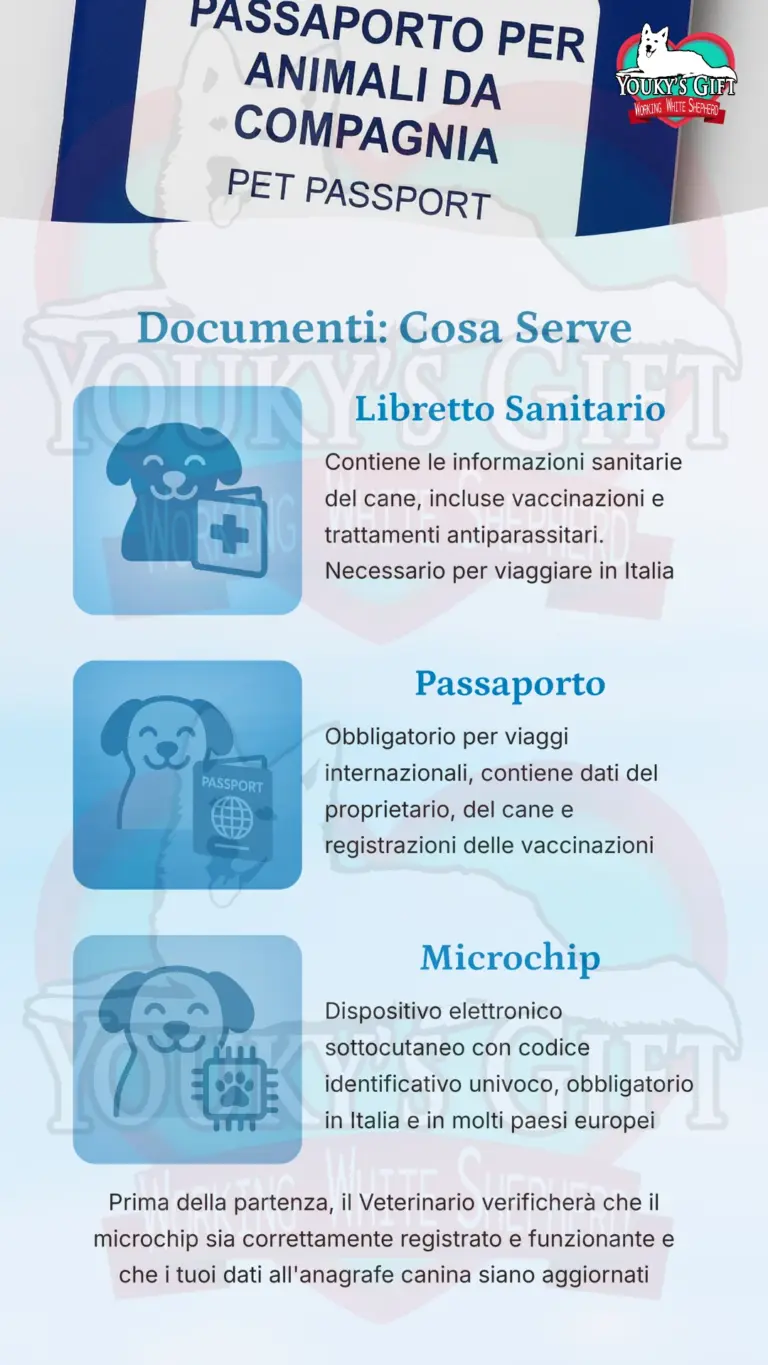 vacanze con il cane 6