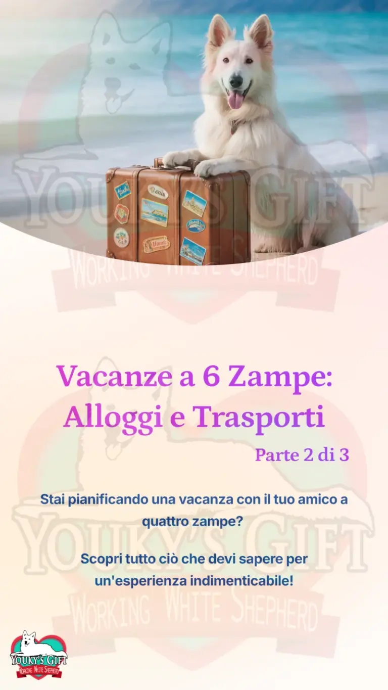 vacanze con il cane alloggio e trasporto 1