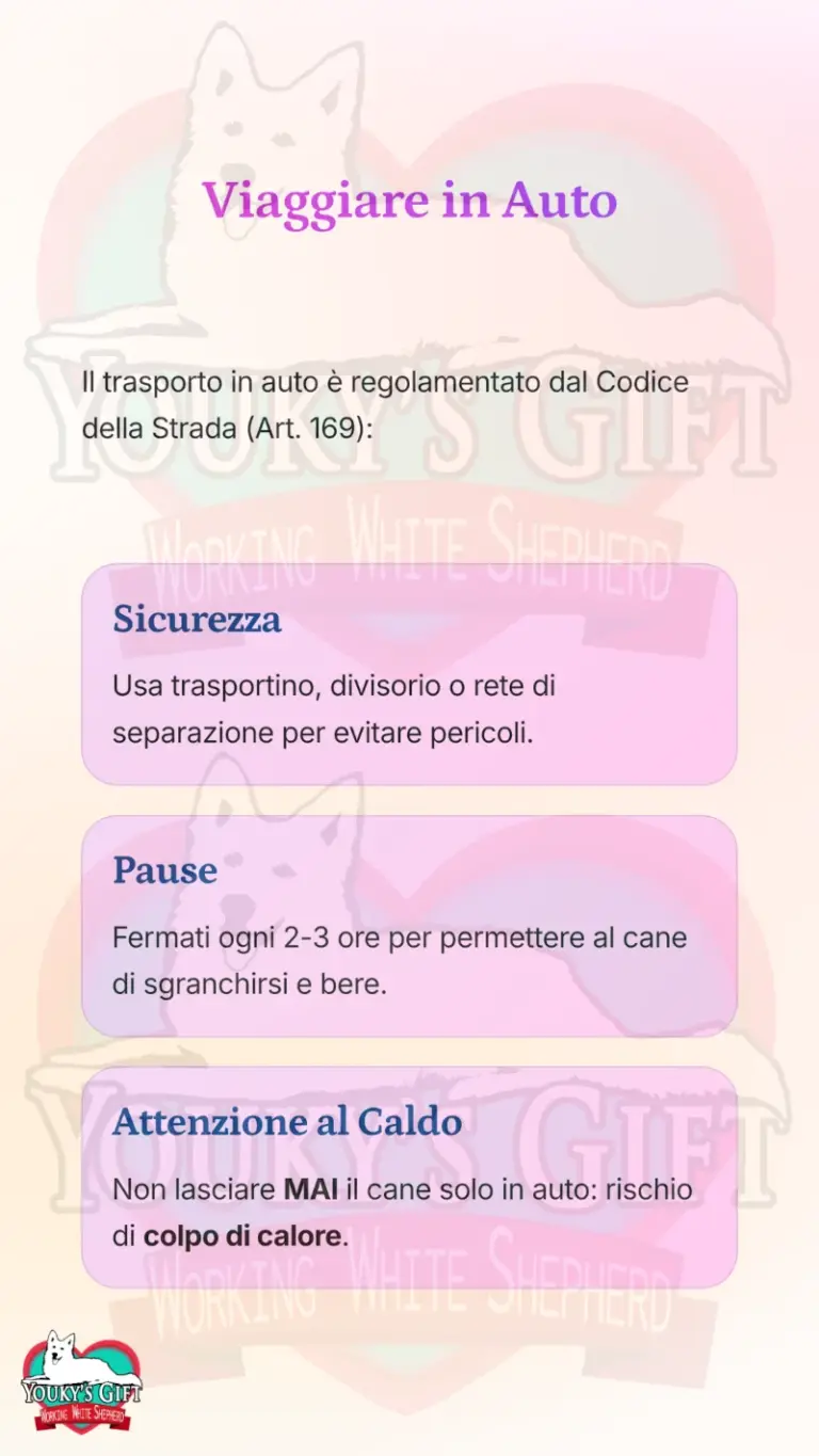 vacanze con il cane alloggio e trasporto 12