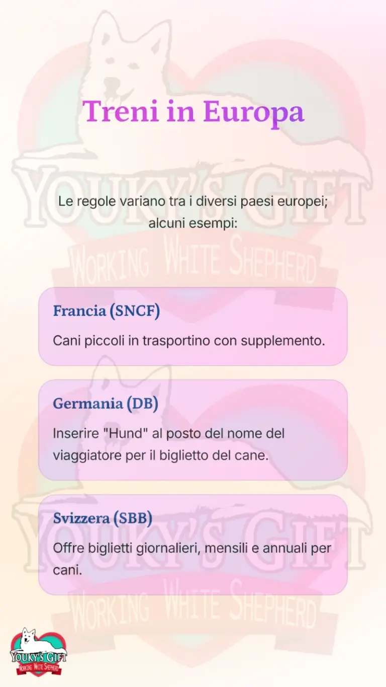 vacanze con il cane alloggio e trasporto 14