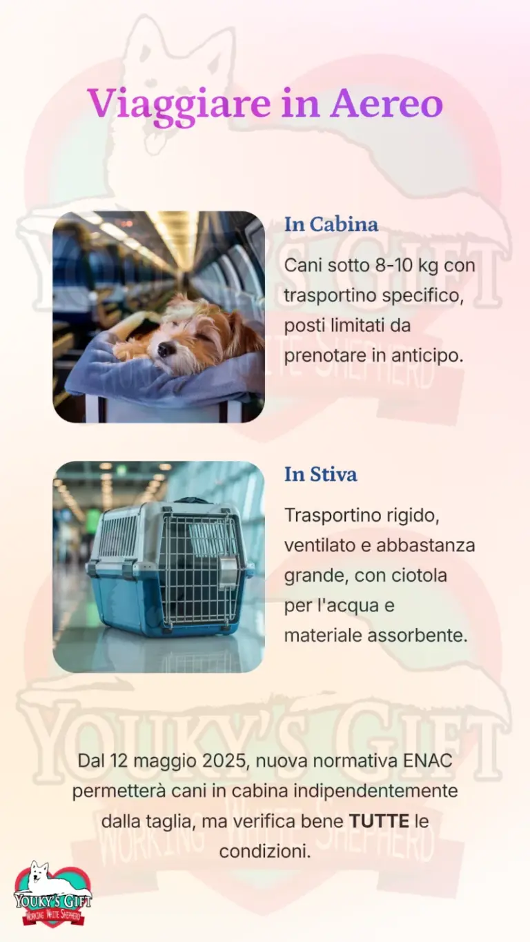 vacanze con il cane alloggio e trasporto 15