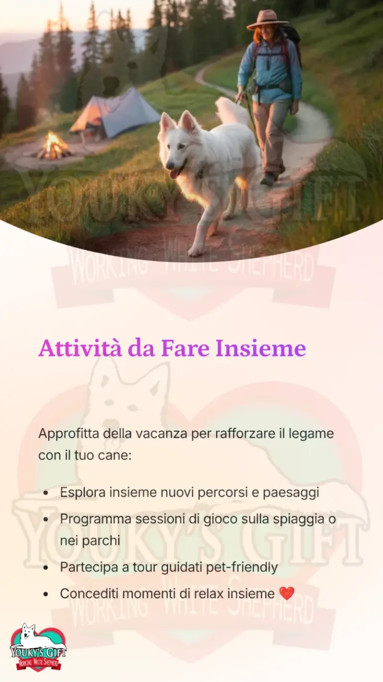 vacanze con il cane alloggio e trasporto 19