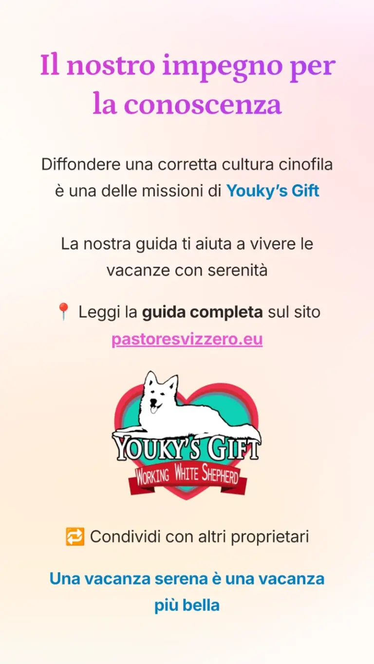 vacanze con il cane alloggio e trasporto 20