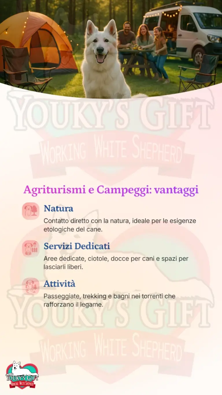 vacanze con il cane alloggio e trasporto 5