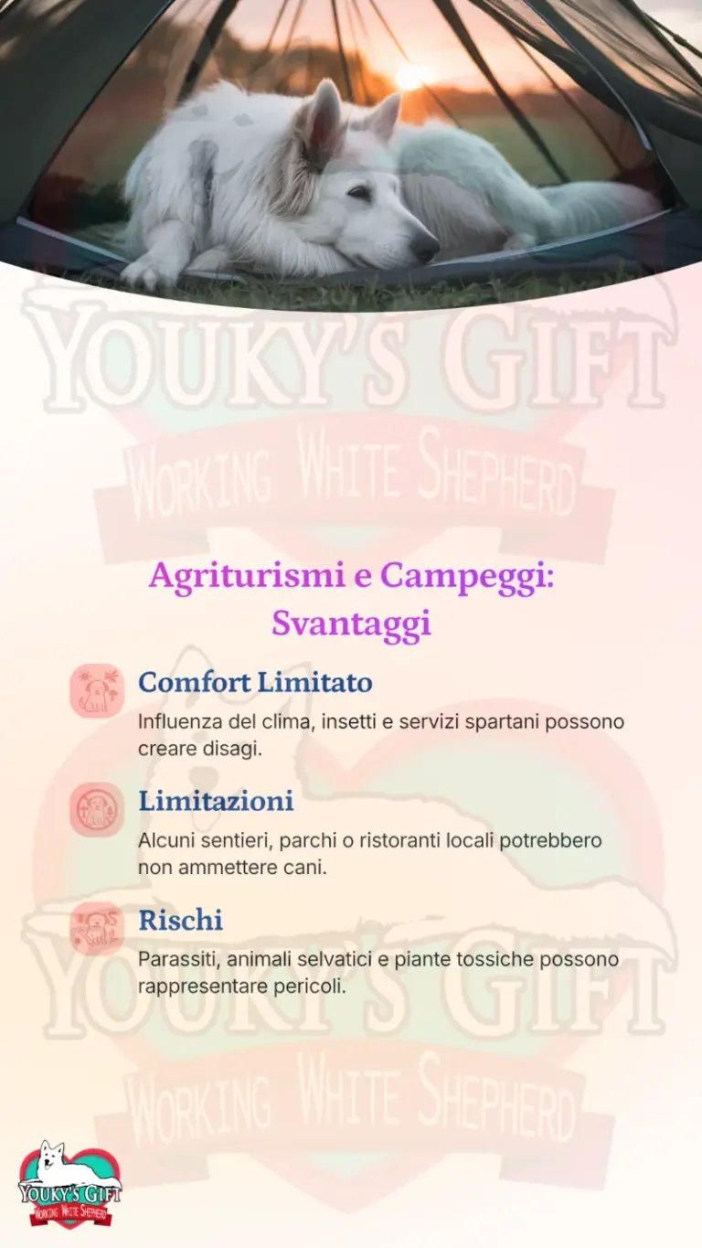 vacanze con il cane alloggio e trasporto 6