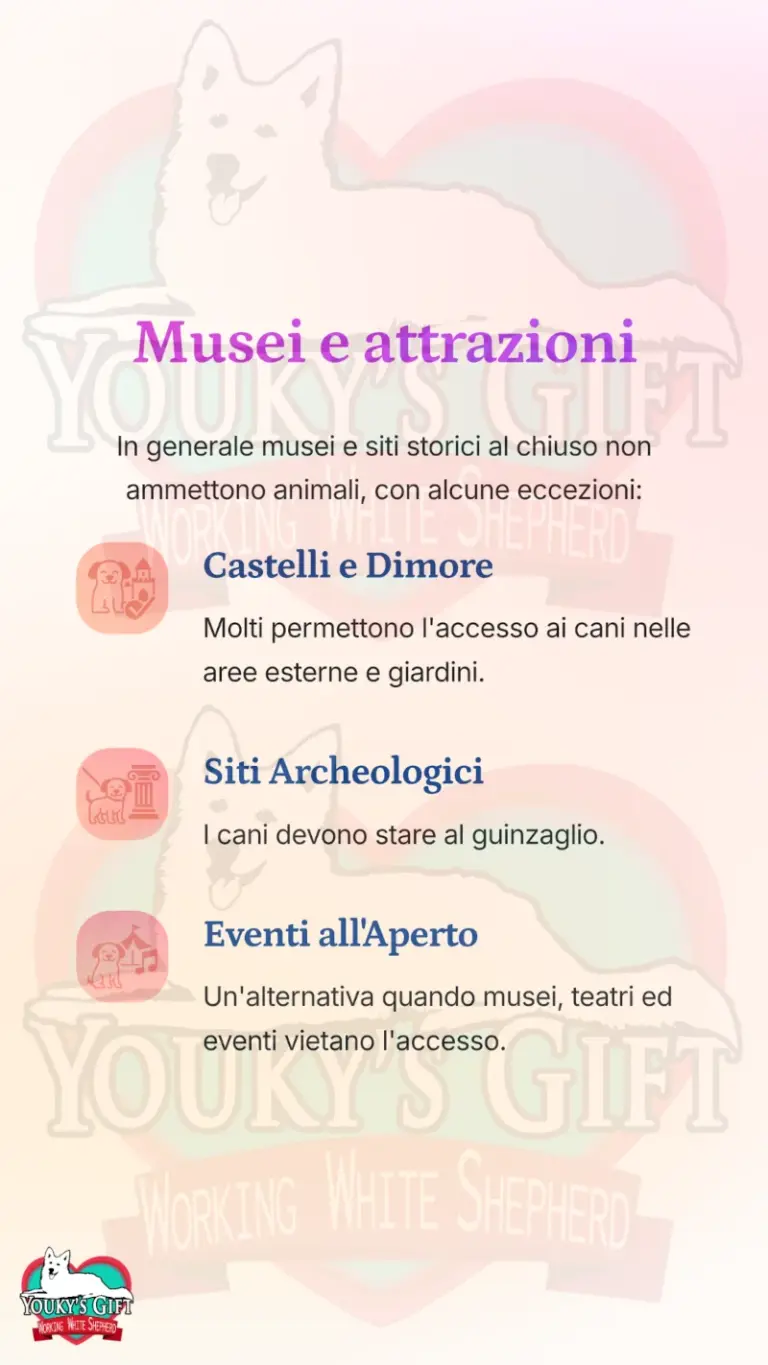 vacanze con il cane alloggio e trasporto 9