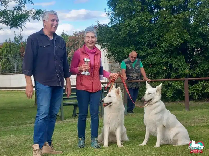 BH VT Pastore Svizzero HipHop e Sheherazade