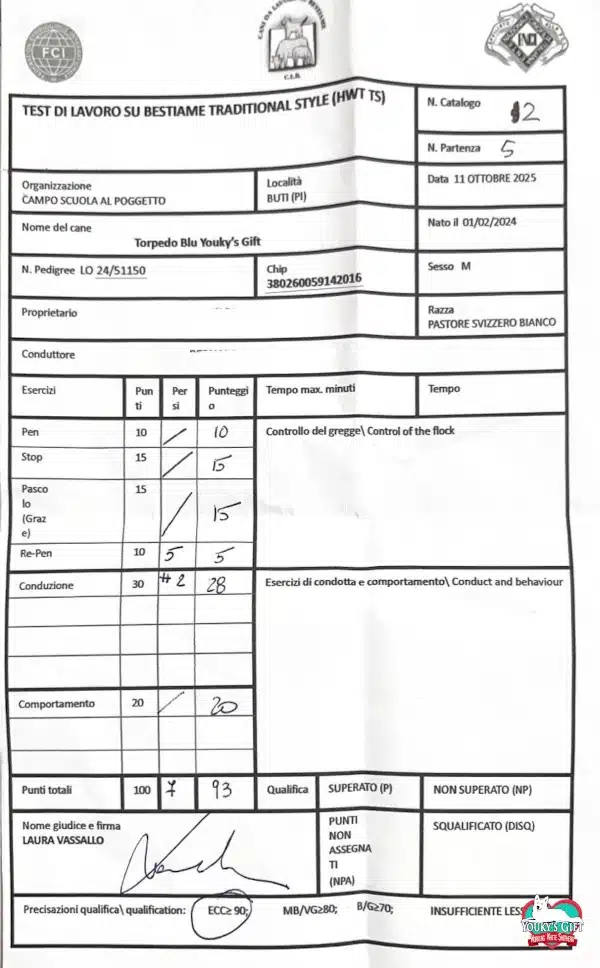 HWT sheepdog Pastore Svizzero Torpedo Blu