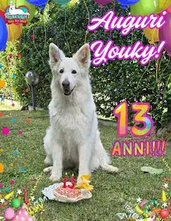 Il 13° compleanno di Youky